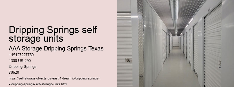 storages near Dripping Springs